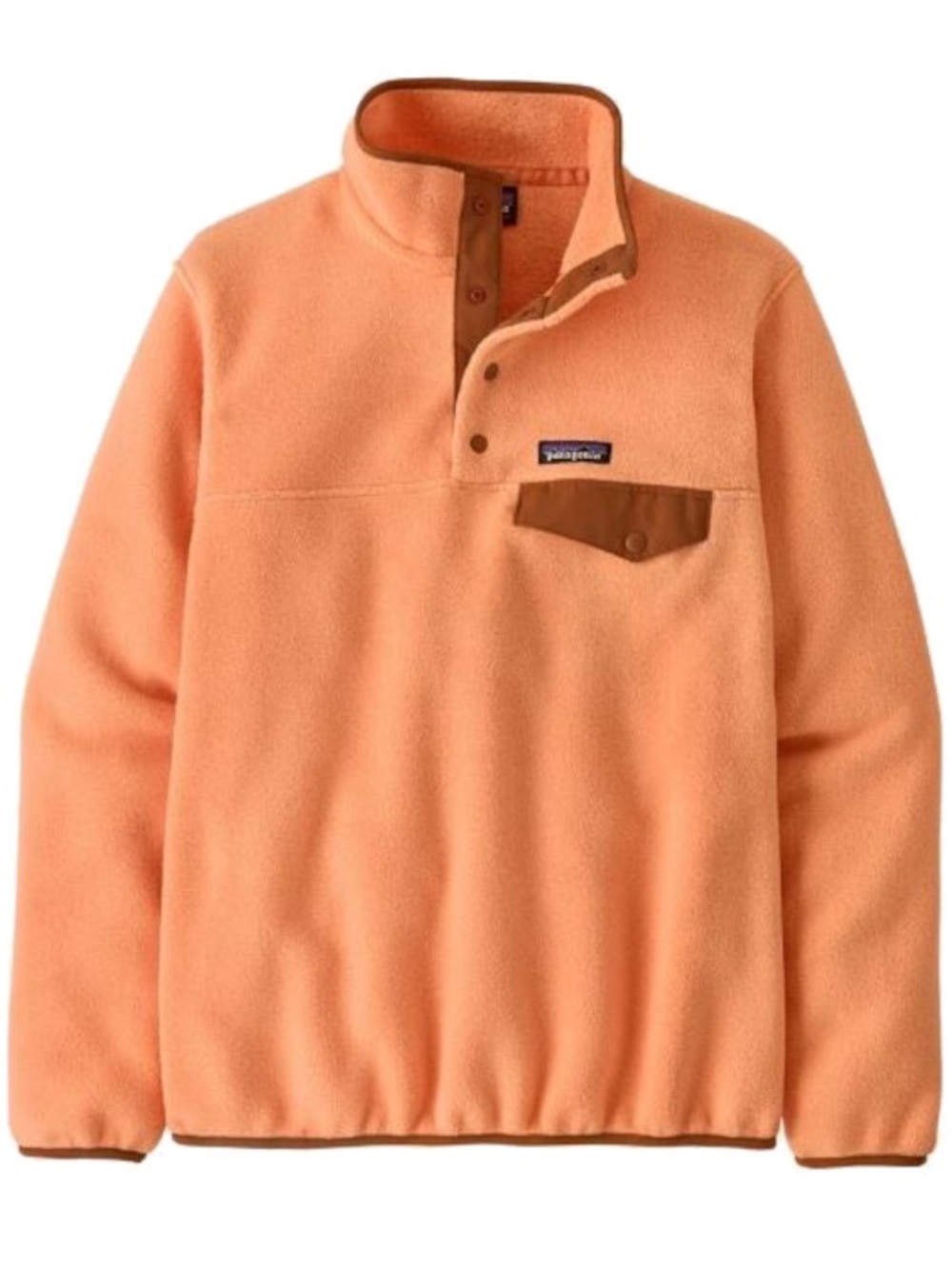 Patagonia Lightweight Synchilla Snap-T Pullover